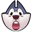 husky_wow